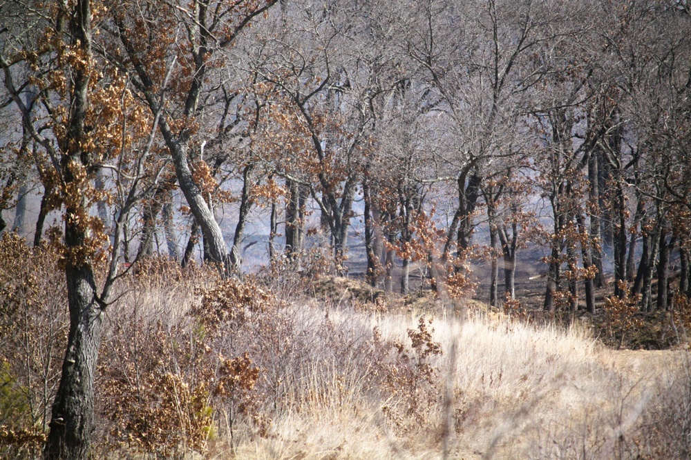 Fort McCoy prescribed burn team begins 2025 season with series of carefully managed burns