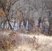Fort McCoy prescribed burn team begins 2025 season with series of carefully managed burns