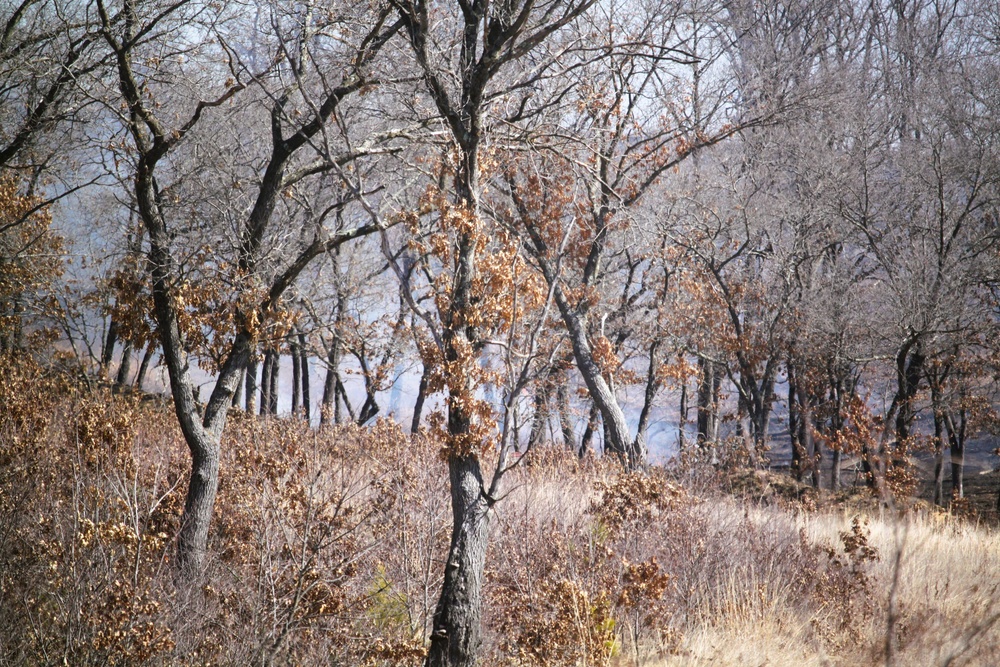 Fort McCoy prescribed burn team begins 2025 season with series of carefully managed burns