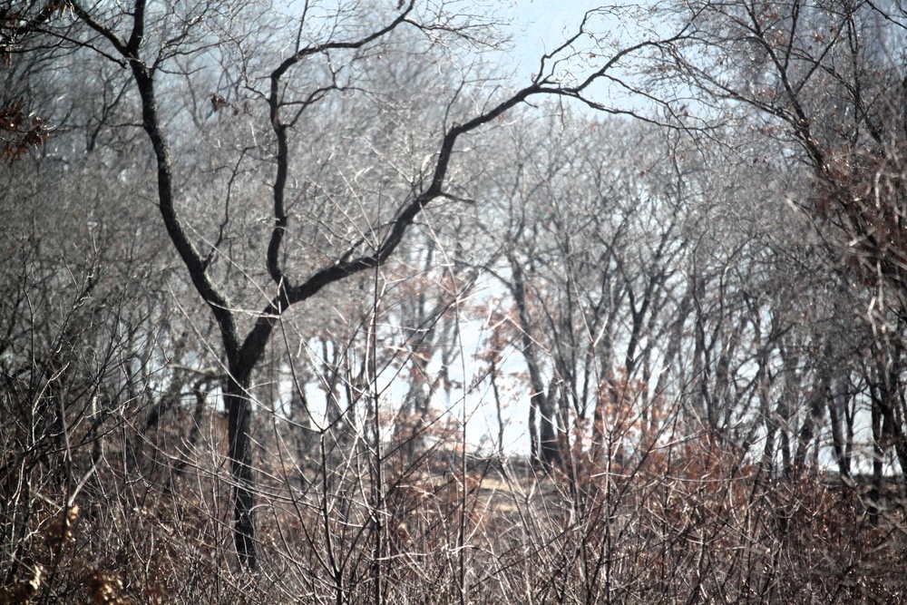 Fort McCoy prescribed burn team begins 2025 season with series of carefully managed burns