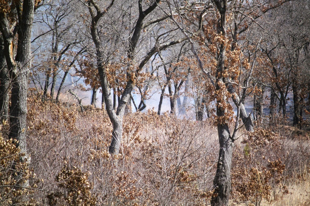 Fort McCoy prescribed burn team begins 2025 season with series of carefully managed burns