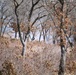 Fort McCoy prescribed burn team begins 2025 season with series of carefully managed burns
