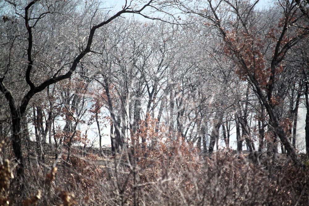 Fort McCoy prescribed burn team begins 2025 season with series of carefully managed burns