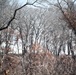 Fort McCoy prescribed burn team begins 2025 season with series of carefully managed burns