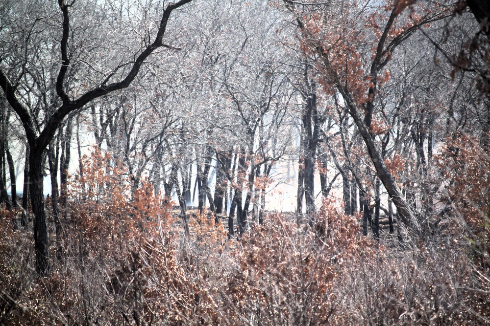 Fort McCoy prescribed burn team begins 2025 season with series of carefully managed burns