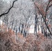 Fort McCoy prescribed burn team begins 2025 season with series of carefully managed burns