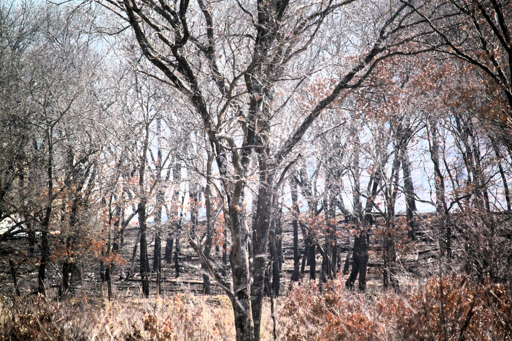 Fort McCoy prescribed burn team begins 2025 season with series of carefully managed burns
