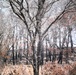 Fort McCoy prescribed burn team begins 2025 season with series of carefully managed burns
