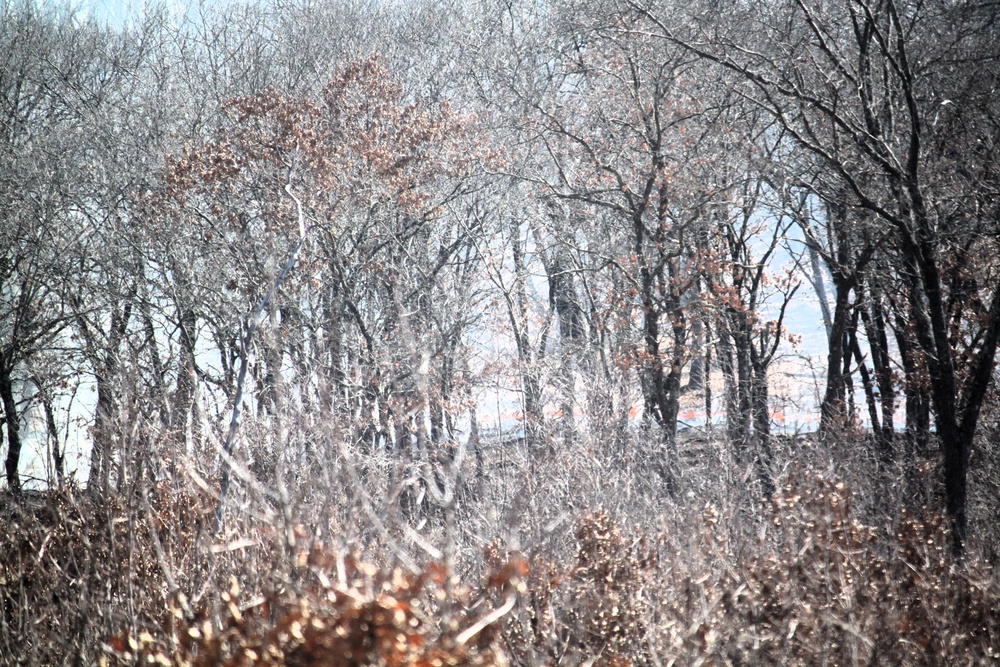 Fort McCoy prescribed burn team begins 2025 season with series of carefully managed burns