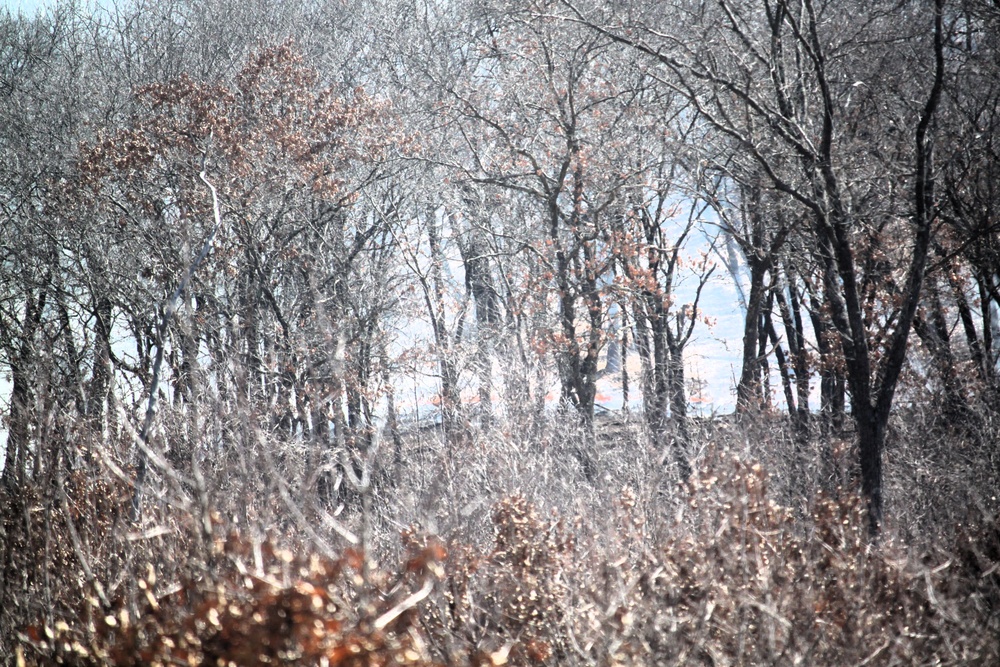Fort McCoy prescribed burn team begins 2025 season with series of carefully managed burns