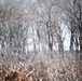 Fort McCoy prescribed burn team begins 2025 season with series of carefully managed burns
