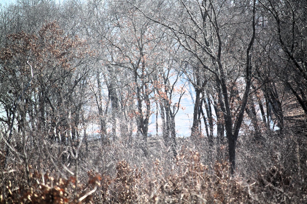 Fort McCoy prescribed burn team begins 2025 season with series of carefully managed burns