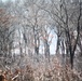 Fort McCoy prescribed burn team begins 2025 season with series of carefully managed burns