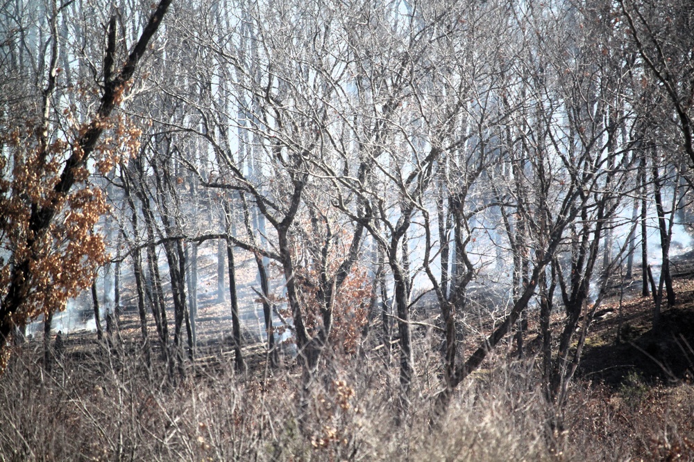 Fort McCoy prescribed burn team begins 2025 season with series of carefully managed burns