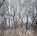 Fort McCoy prescribed burn team begins 2025 season with series of carefully managed burns
