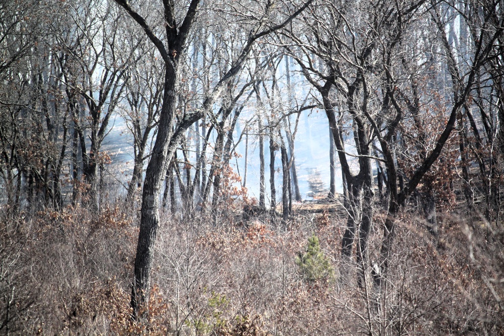 Fort McCoy prescribed burn team begins 2025 season with series of carefully managed burns