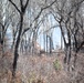 Fort McCoy prescribed burn team begins 2025 season with series of carefully managed burns