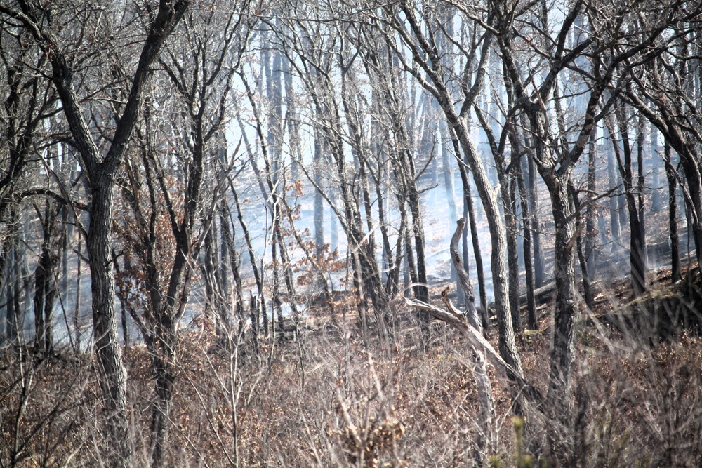 Fort McCoy prescribed burn team begins 2025 season with series of carefully managed burns