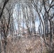 Fort McCoy prescribed burn team begins 2025 season with series of carefully managed burns
