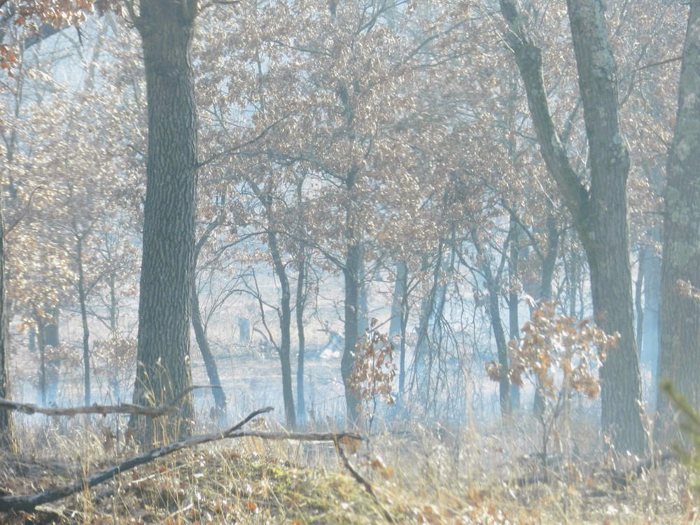Fort McCoy prescribed burn team begins 2025 season with series of carefully managed burns