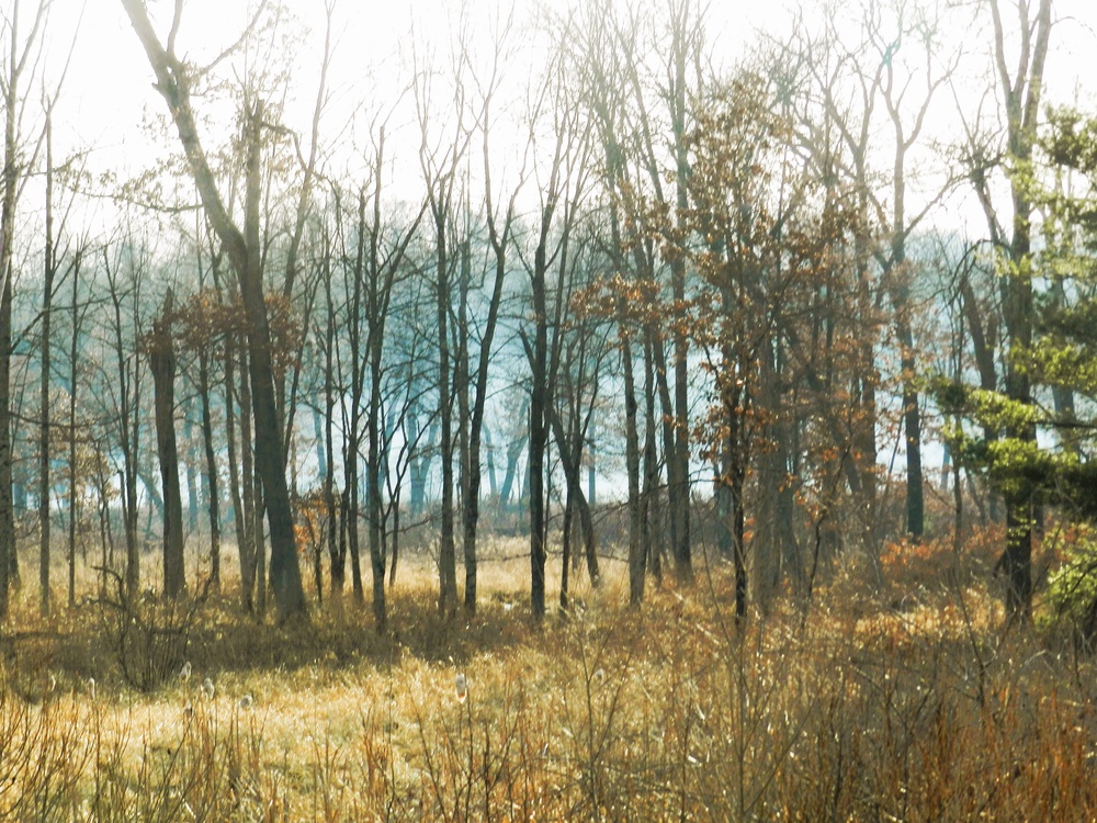 Fort McCoy prescribed burn team begins 2025 season with series of carefully managed burns