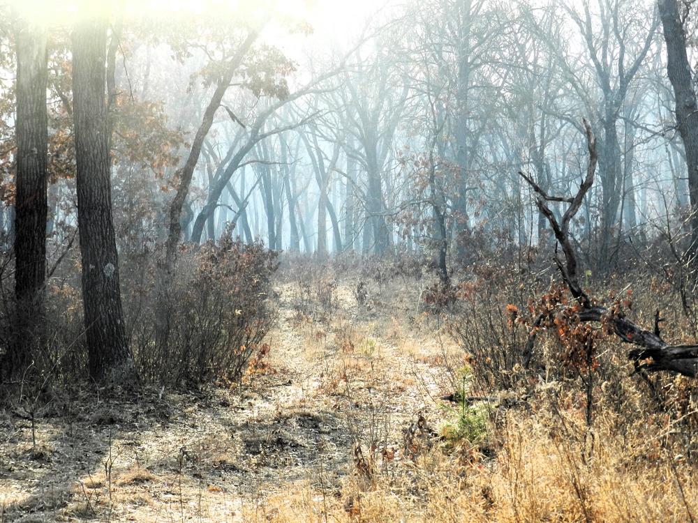 Fort McCoy prescribed burn team begins 2025 season with series of carefully managed burns