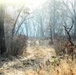 Fort McCoy prescribed burn team begins 2025 season with series of carefully managed burns