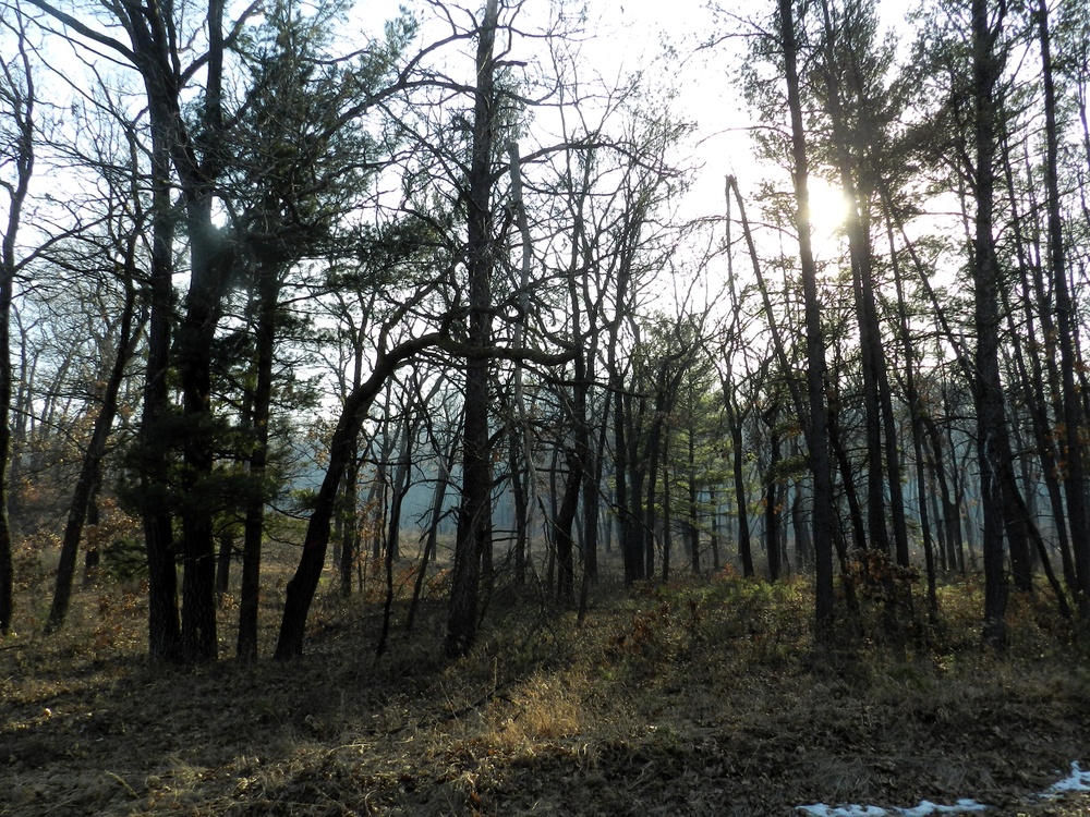 Fort McCoy prescribed burn team begins 2025 season with series of carefully managed burns