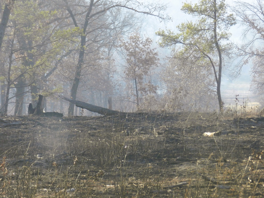 Fort McCoy prescribed burn team begins 2025 season with series of carefully managed burns