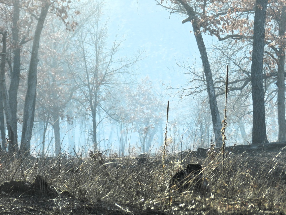 Fort McCoy prescribed burn team begins 2025 season with series of carefully managed burns