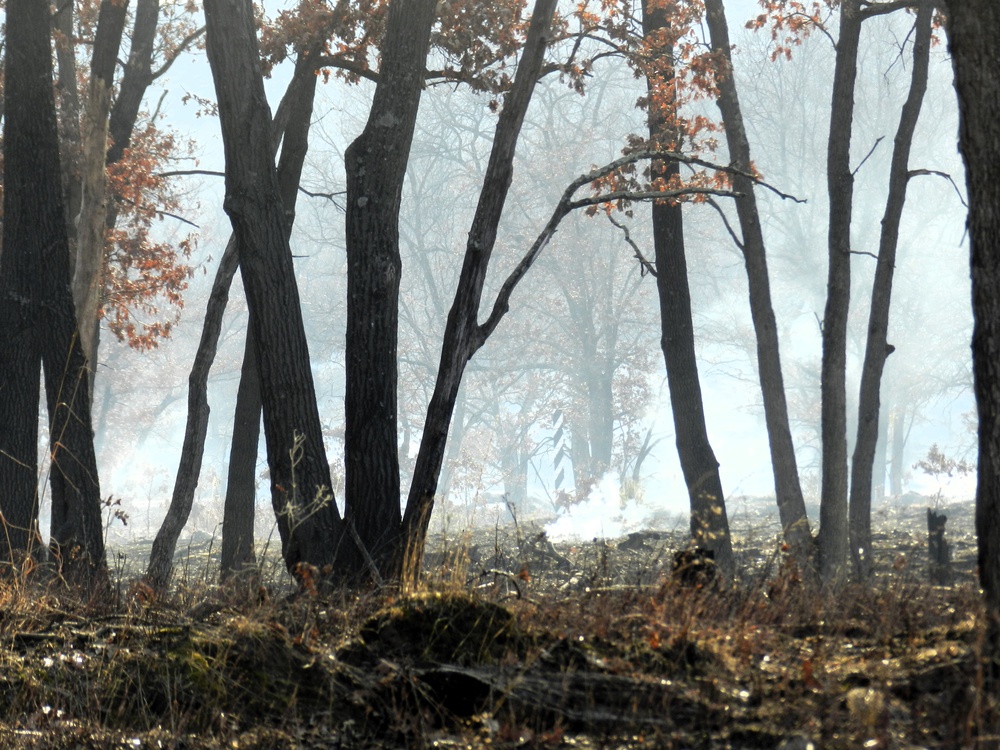 Fort McCoy prescribed burn team begins 2025 season with series of carefully managed burns