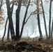 Fort McCoy prescribed burn team begins 2025 season with series of carefully managed burns