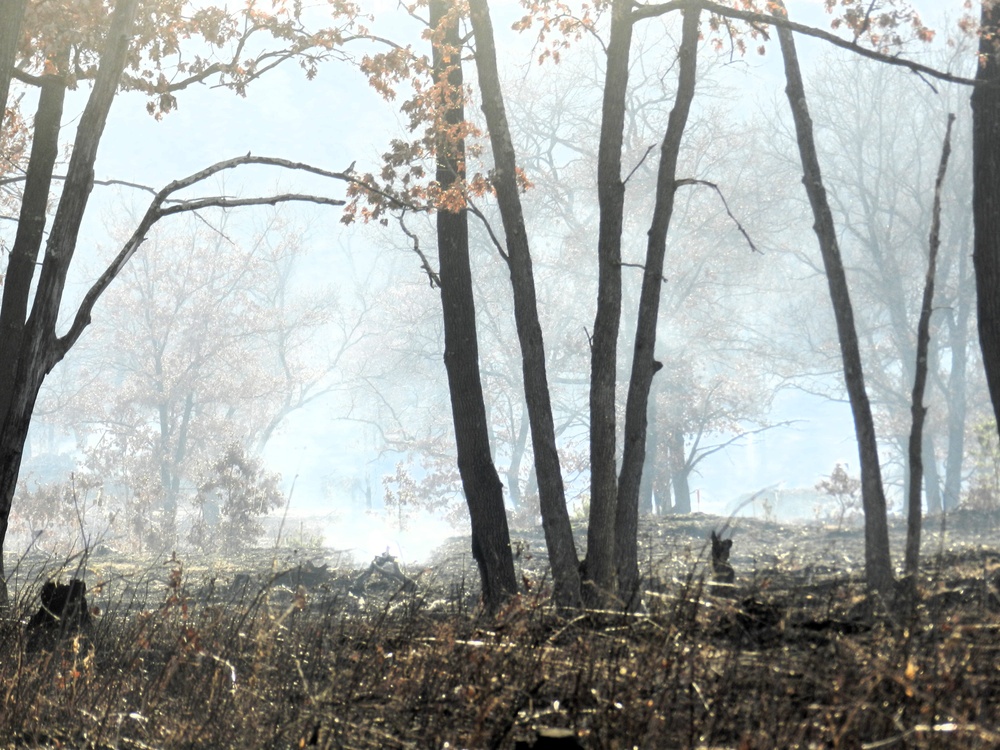 Fort McCoy prescribed burn team begins 2025 season with series of carefully managed burns