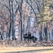 Fort McCoy prescribed burn team begins 2025 season with series of carefully managed burns