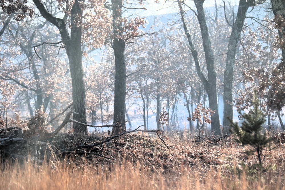 Fort McCoy prescribed burn team begins 2025 season with series of carefully managed burns