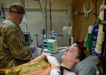 Surgical team and Army aviation conduct MEDEVAC training