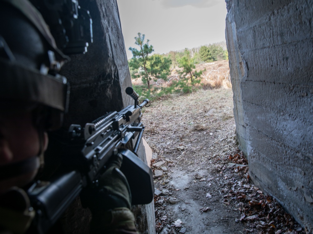 3rd Infantry Division Conducts STX Lanes