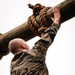 Force Fitness Instructor Obstacle Course Evaluation