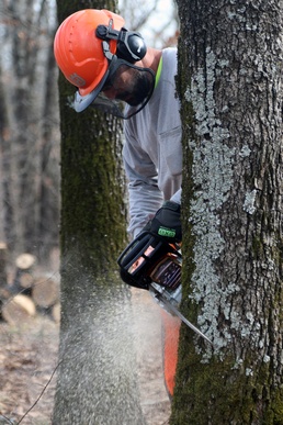 Cutting risks – Tulsa District holds chainsaw safety training at Fort Gibson Lake