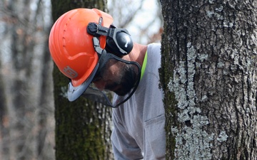 Cutting risks – Tulsa District holds chainsaw safety training at Fort Gibson Lake