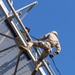 Charlie Company Rappel Tower