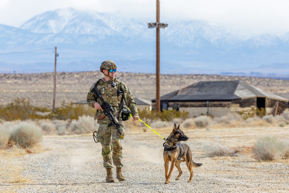 Defenders at Edwards AFB participate in the 2025 Advanced Combat Training Exercise
