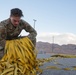 Geared up: AFE technicians keep Bomber Barons equipped during Red Flag 25-2