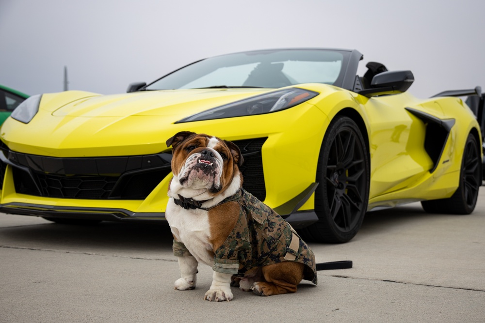 Bruno goes to Media Day and Children’s Expo on MCAS Yuma