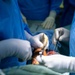 LAMAT 25: Sharpening surgical care in St. Vincent