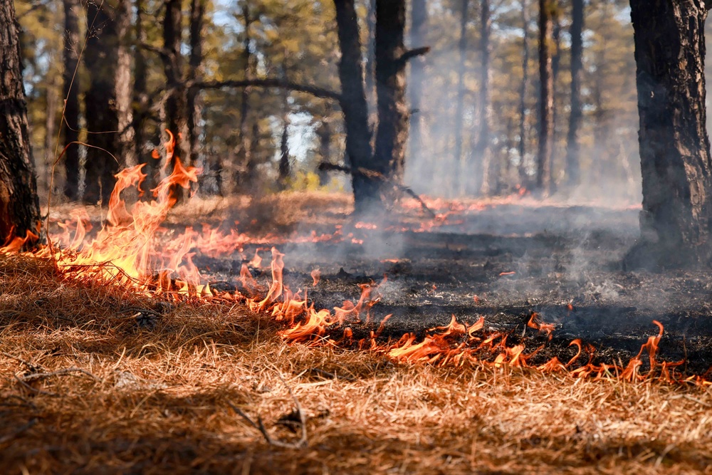 Combat Engineers conduct Breaching and Detonation Drills