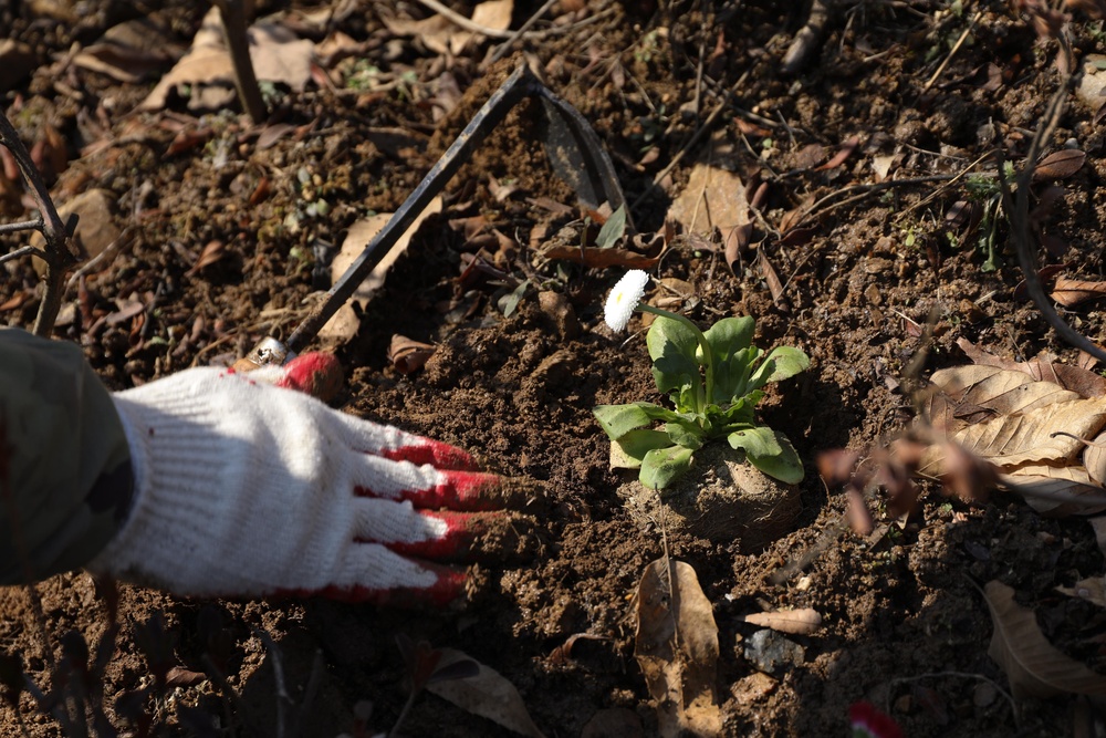 BOSS and USAG Y-C Community Relations teams up for Soyosan Mountain Cleanup