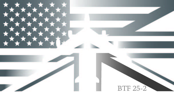 BTF 25-2: Metallic Flag Graphic