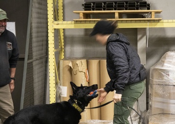 K9 Drug Detection Enhancement Course