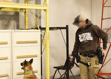 K9 Drug Detection Enhancement Course